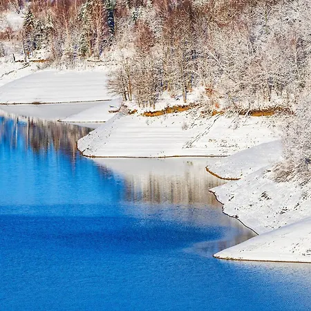 Willa Emi Lokve Homer